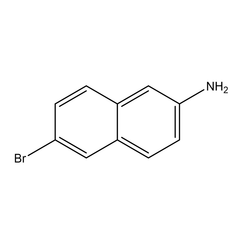 6-bromonaftalene-2-ammina