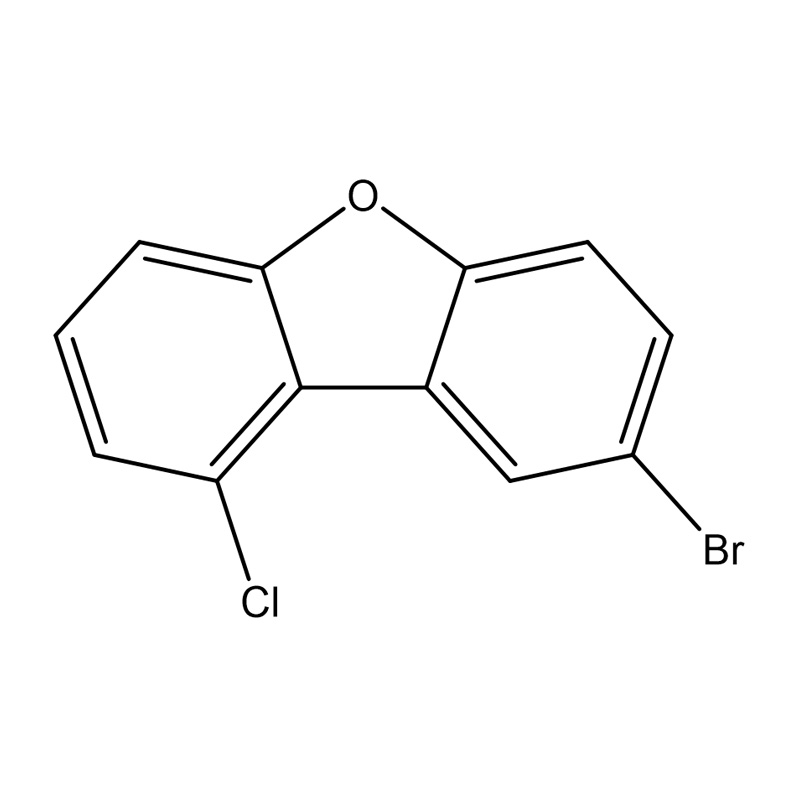 8-bromo-1-clorodibenzo[b,d]furano