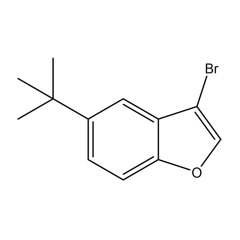3-bromo-5-tert-butilbenzofurano